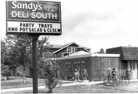 Sandy's deli south